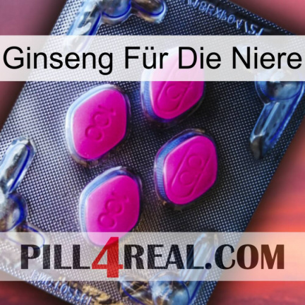Ginseng Für Die Niere 02
